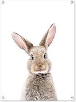 Tableau de jardin Lapin - Animaux - Nature - Marron - 60x80 cm - Poster de jardin