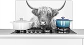 Spatscherm keuken 90x45 cm - Kookplaat achterwand Schotse hooglander - Dieren - Hoorns - Zwart wit - Muurbeschermer - Spatwand fornuis - Hoogwaardig aluminium