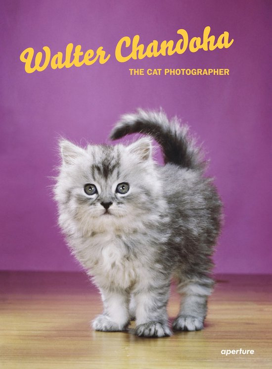 Een schattig grijs katje met blauwe ogen staat op een houten vloer voor een paarse achtergrond. De tekst "Walter Chandoha, THE CAT PHOTOGRAPHER" staat bovenaan.
