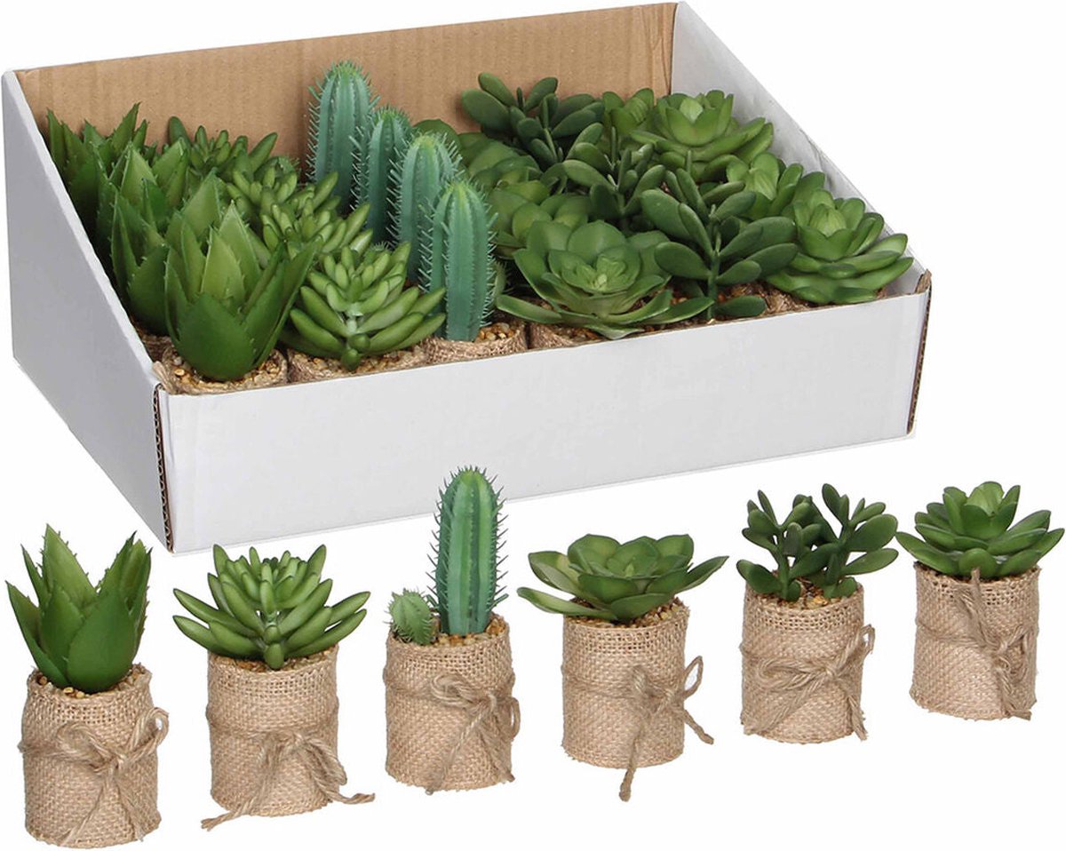 DIY: Vetplanten in schaal, stoer stilleven op tafel