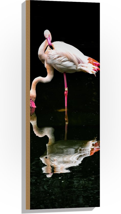 Hout - Twee Flamingo's met Weerspiegeling in het Water - 30x90 cm - 9 mm dik - Foto op Hout (Met Ophangsysteem)