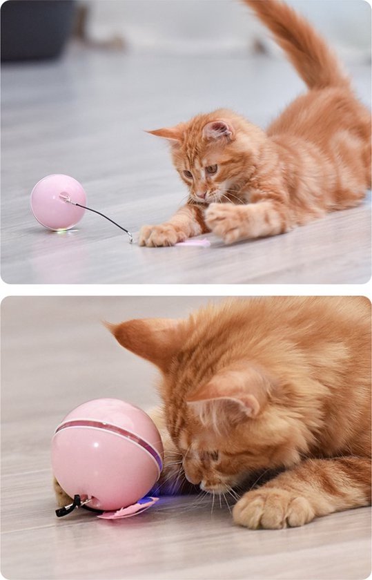 balle chat interactive auto-roulante-jouet pour chat plume-cloche-usb rechargeable-chaton-ROSE