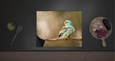 Inductie Beschermer - Kleurrijke Scharrelaar Vogel op Smalle Bruine Tak - 60x52 cm - 2 mm Dik - Inductieplaat Beschermer met zwarte kern
