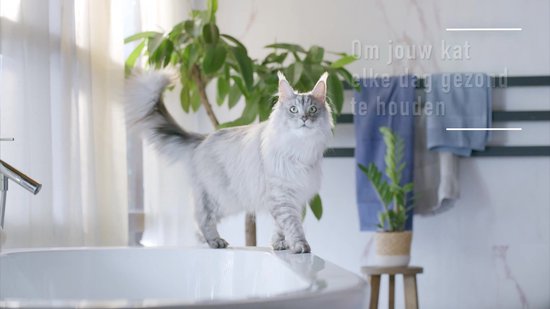 PURINA ONE Sterilcat - Kattenbrokjes - Kip - 4 x 800 g