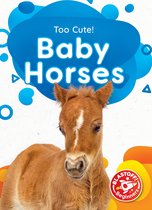 Too Cute! - Baby Horses