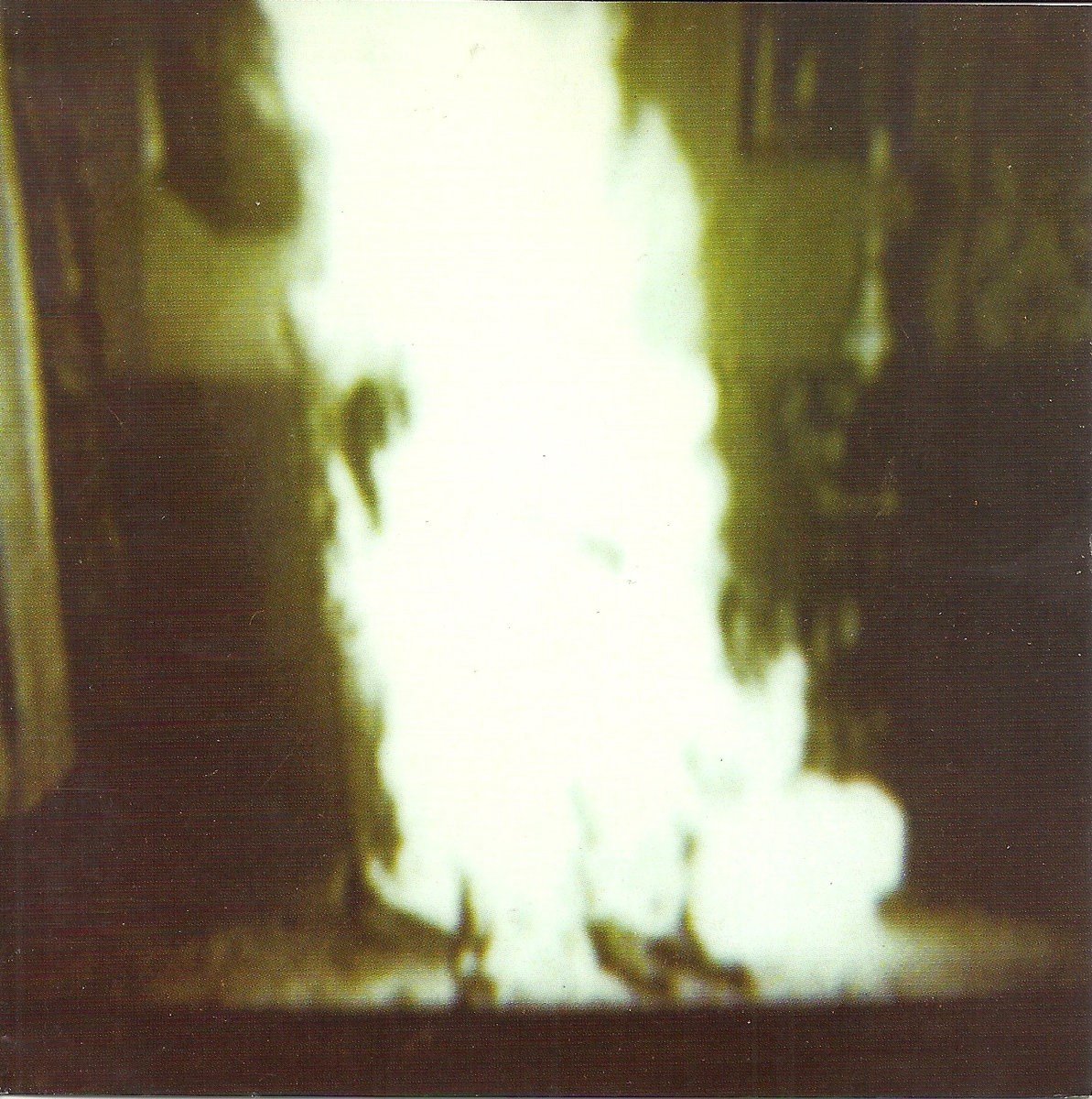 Flowers In The Attic - Human (10" LP)