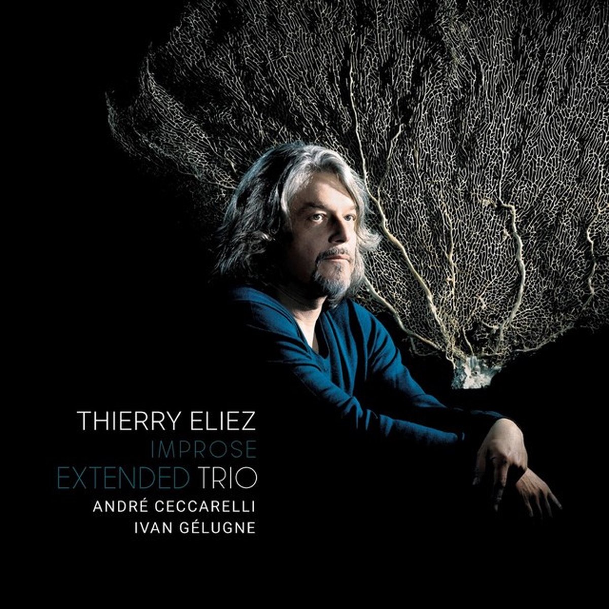 Thierry Eliez Trio - Improse Extended Trio (CD)