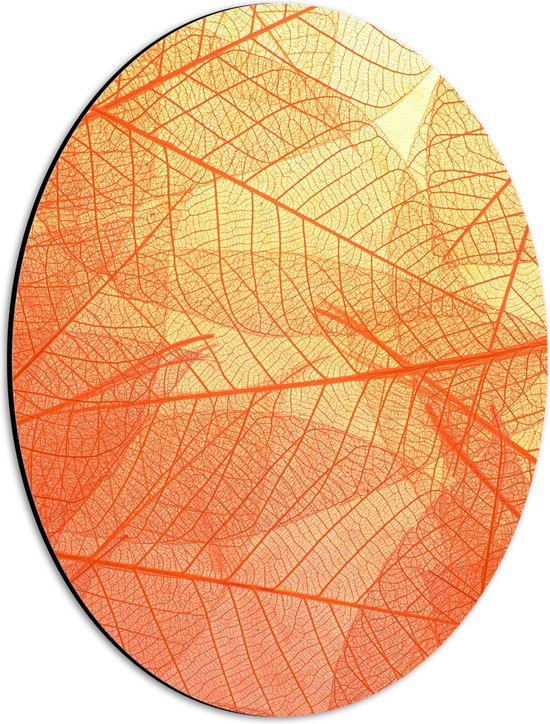 Dibond Ovaal - Oranje Doorschijnende Blaadjes - 30x40 cm Foto op Ovaal (Met Ophangsysteem)