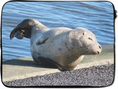 Nautische Laptop sleeve 13 inch - zeehond - Zachte binnenkant - Maritieme Luxe Laptophoes - Kwaliteit Laptop Sleeve met foto - Souvenirs from the sea