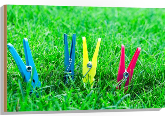 Hout - Gekleurde Wasknijpers in het Gras - 90x60 cm - 9 mm dik - Foto op Hout (Met Ophangsysteem)