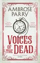A Raven and Fisher Mystery- Voices of the Dead