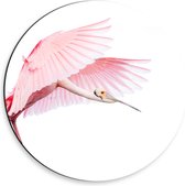 Dibond Muurcirkel - Vliegende Flamingo in de Bewolkte Lucht - 30x30 cm Foto op Aluminium Muurcirkel (met ophangsysteem)