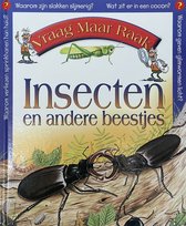 Insecten En Andere Beestjes