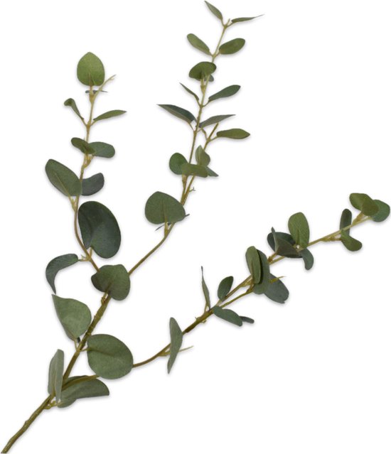 Silk-ka Kunstbloem-Zijden Bloemen Eucalyptus Tak Groen 79 cm Per 2 Stuks