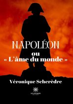 Napoléon ou « L’âme du monde »