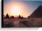 Canvas - Groep Kamelen lopend door Woestijn bij paramides - 40x30 cm Foto op Canvas Schilderij (Wanddecoratie op Canvas)