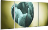 GroepArt - Glasschilderij - Tulp - Blauw, Zwart, Groen - 160x80cm 4Luik - Foto Op Glas - Geen Acrylglas Schilderij - 6000+ Glasschilderijen Collectie - Wanddecoratie