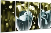 GroepArt - Glasschilderij - Tulp - Blauw, Grijs - 160x80cm 4Luik - Foto Op Glas - Geen Acrylglas Schilderij - 6000+ Glasschilderijen Collectie - Wanddecoratie