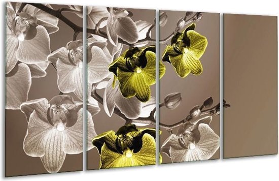 Peinture sur verre d'orchidée | Vert, marron | 160x80cm 4 Liège | Tirage photo sur verre |  F002745