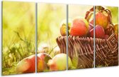 Peinture sur verre Pommes | Vert, rouge, marron | 160x80cm 4 Liège | Tirage photo sur verre |  F006007
