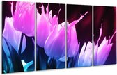 GroepArt - Glasschilderij - Tulp - Paars, Roze, Blauw - 160x80cm 4Luik - Foto Op Glas - Geen Acrylglas Schilderij - 6000+ Glasschilderijen Collectie - Wanddecoratie