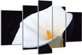 Glasschilderij Bloem - Wit, Geel, Zwart - 170x100cm 5Luik - Foto Op Glas - Geen Acrylglas Schilderij - 6000+ Glasschilderijen Collectie - Wanddecoratie