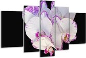 Glasschilderij Orchidee - Paars, Zwart, Wit - 170x100cm 5Luik - Foto Op Glas - Geen Acrylglas Schilderij - 6000+ Glasschilderijen Collectie - Wanddecoratie