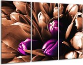 GroepArt - Schilderij -  Tulp - Paars, Bruin, Wit - 120x80cm 3Luik - 6000+ Schilderijen 0p Canvas Art Collectie