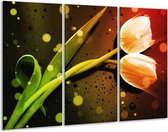 GroepArt - Schilderij -  Tulp - Oranje, Groen, Rood - 120x80cm 3Luik - 6000+ Schilderijen 0p Canvas Art Collectie