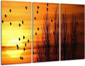 GroepArt - Schilderij -  Vogels - Geel, Zwart - 120x80cm 3Luik - 6000+ Schilderijen 0p Canvas Art Collectie
