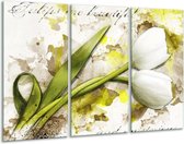 GroepArt - Schilderij -  Tulpen - Groen, Wit, Geel - 120x80cm 3Luik - 6000+ Schilderijen 0p Canvas Art Collectie