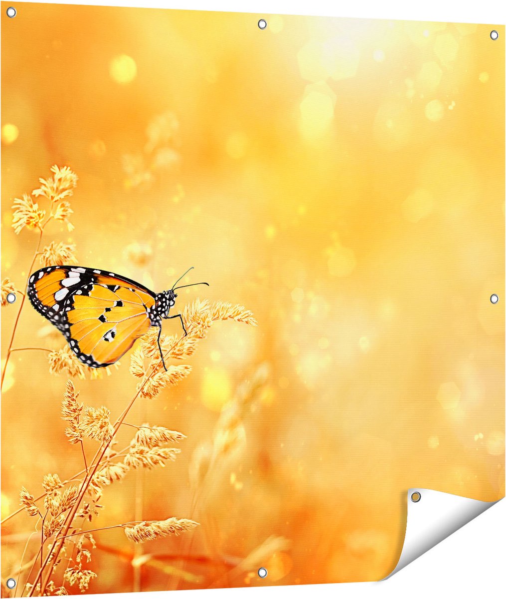 Gards Tuinposter Oranje Vlinder in het Oranje Veld - 100x100 cm - Tuindoek - Tuindecoratie - Wanddecoratie buiten - Tuinschilderij Multikleur
