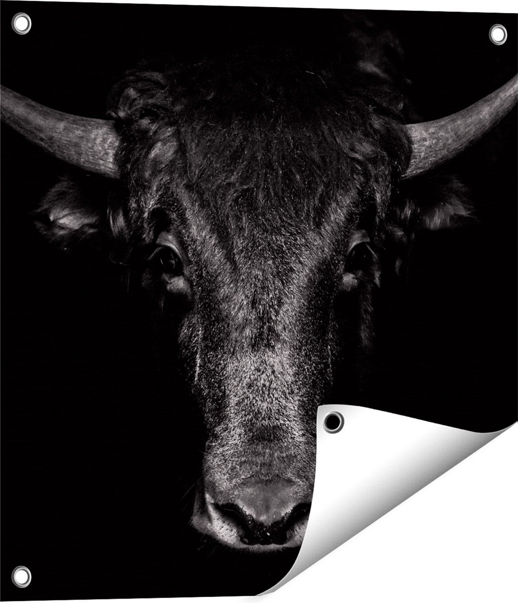Gards Tuinposter Stierenkop - Stier - Zwart Wit - 50x50 cm - Tuindoek - Tuindecoratie - Wanddecoratie buiten - Tuinschilderij Multikleur