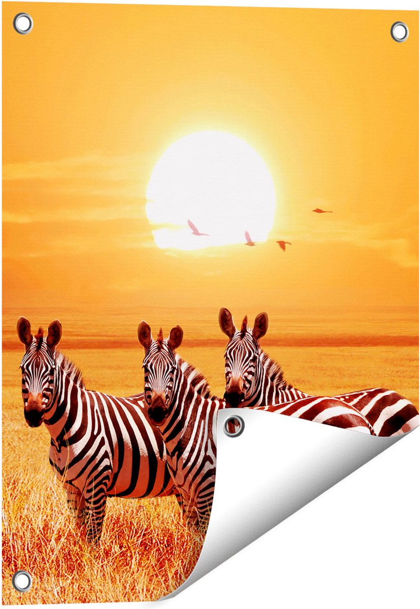 Gards Tuinposter Drie Zebra's bij Zonsondergang - 40x50 cm - Tuindoek - Tuindecoratie - Wanddecoratie buiten - Tuinschilderij Multikleur