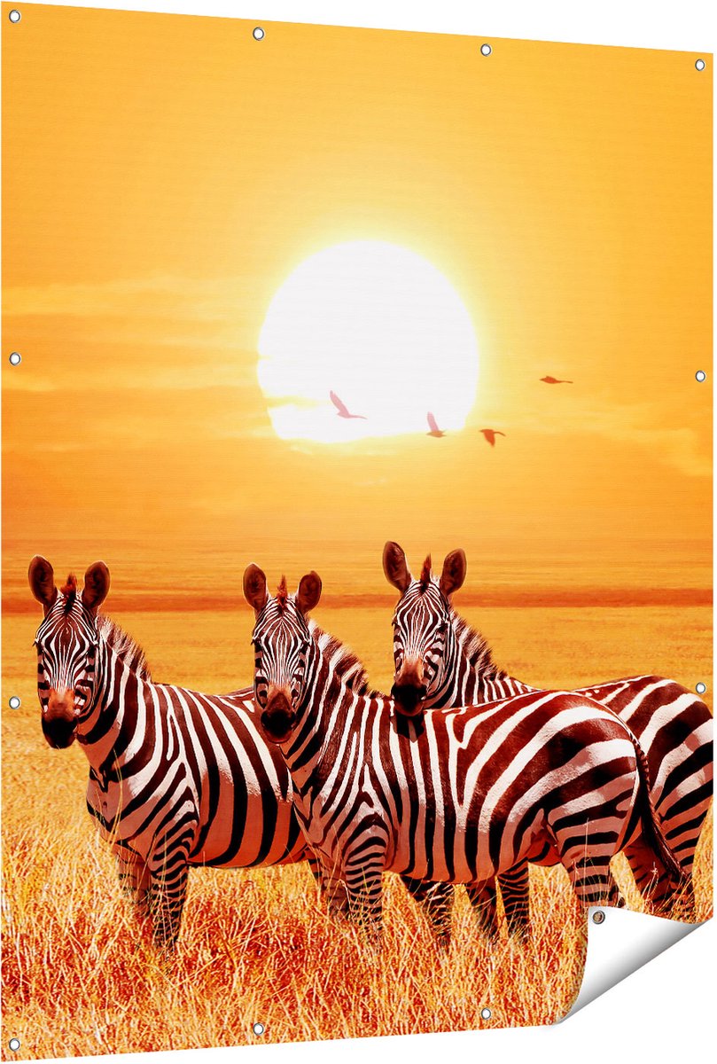 Gards Tuinposter Drie Zebra's bij Zonsondergang - 120x150 cm - Tuindoek - Tuindecoratie - Wanddecoratie buiten - Tuinschilderij Multikleur