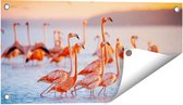 Gards Tuinposter Kudde Flamingo's in het Water - 60x30 cm - Tuindoek - Tuindecoratie - Wanddecoratie buiten - Tuinschilderij