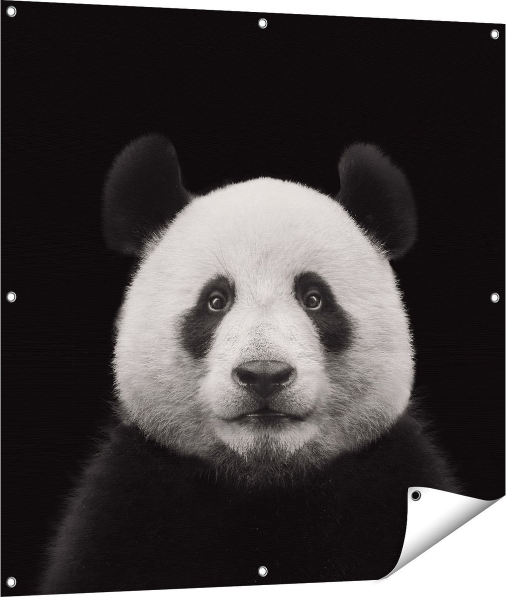 Gards Tuinposter Panda - Pandakop - 100x100 cm - Tuindoek - Tuindecoratie - Wanddecoratie buiten - Tuinschilderij Multikleur