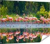Gards Tuinposter Kudde Flamingo's op het Water - 120x90 cm - Tuindoek - Tuindecoratie - Wanddecoratie buiten - Tuinschilderij