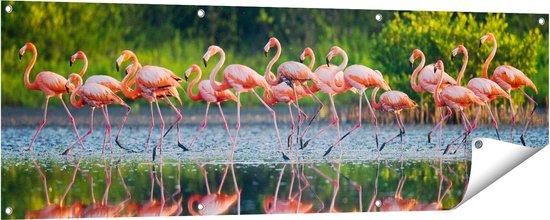Hotel Flamingo, Alex Milway | Boek | 9789047711865