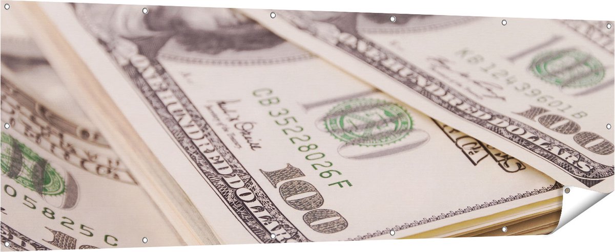 Gards Tuinposter Dollar Geld Briefjes - 210x70 cm - Tuindoek - Tuindecoratie - Wanddecoratie buiten - Tuinschilderij Multikleur