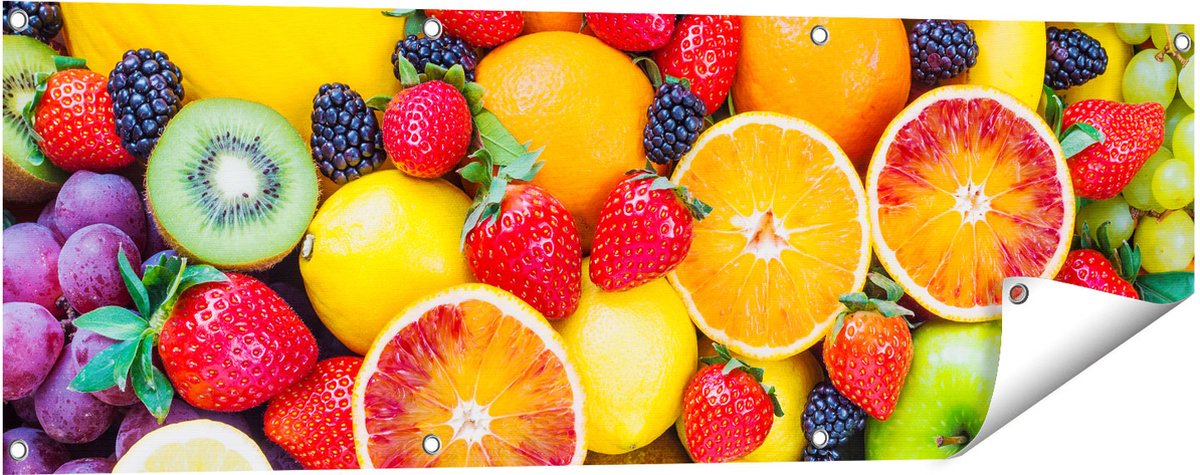 Gards Tuinposter Kleurrijke Fruit Achtergrond - 120x40 cm - Tuindoek - Tuindecoratie - Wanddecoratie buiten - Tuinschilderij Multikleur