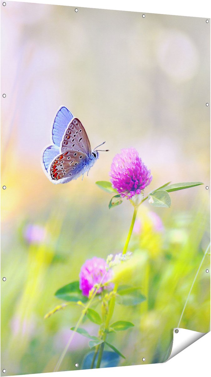 Gards Tuinposter Blauwe Vlinder bij een Paarse Bloem - 120x180 cm - Tuindoek - Tuindecoratie - Wanddecoratie buiten - Tuinschilderij Multikleur
