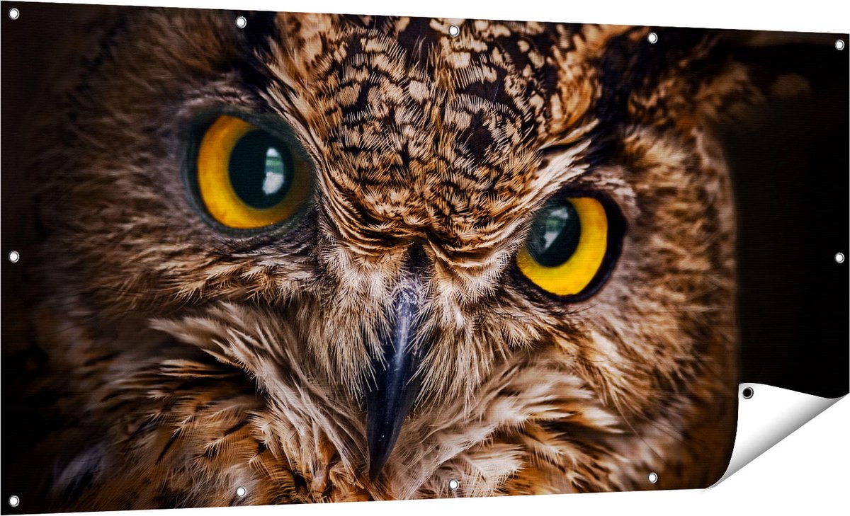 Gards Tuinposter Uilenkop met Gele Ogen - Uil - 160x80 cm - Tuindoek - Tuindecoratie - Wanddecoratie buiten - Tuinschilderij Multikleur