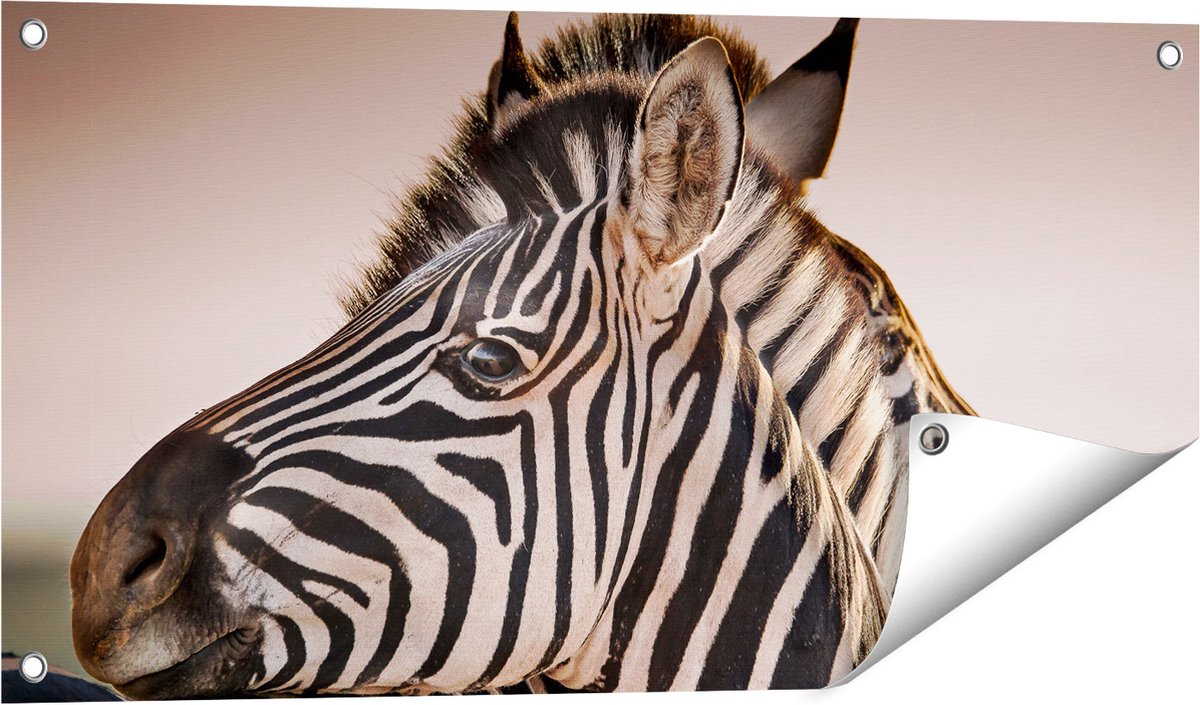 Gards Tuinposter Twee Knuffelende Zebra's - 80x40 cm - Tuindoek - Tuindecoratie - Wanddecoratie buiten - Tuinschilderij Multikleur
