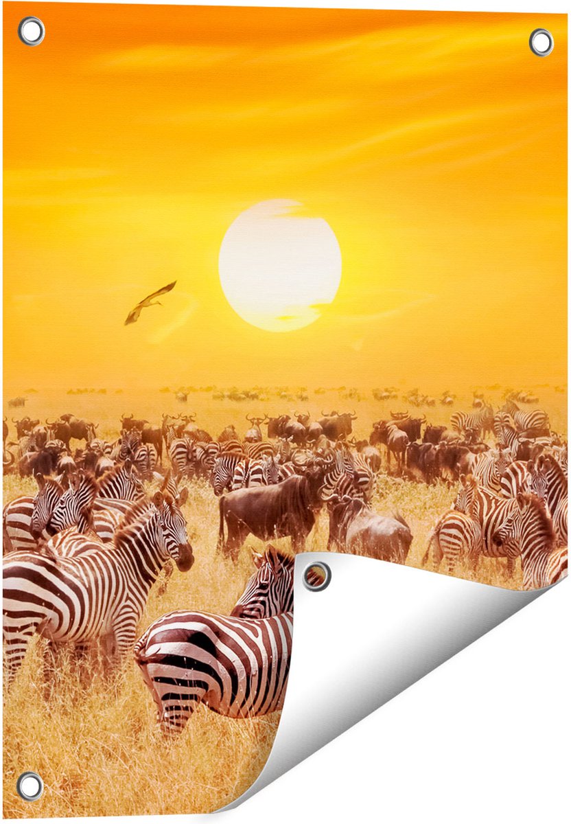Gards Tuinposter Kudde Zebra's bij een Oranje Zonsondergang - 40x50 cm - Tuindoek - Tuindecoratie - Wanddecoratie buiten - Tuinschilderij Multikleur