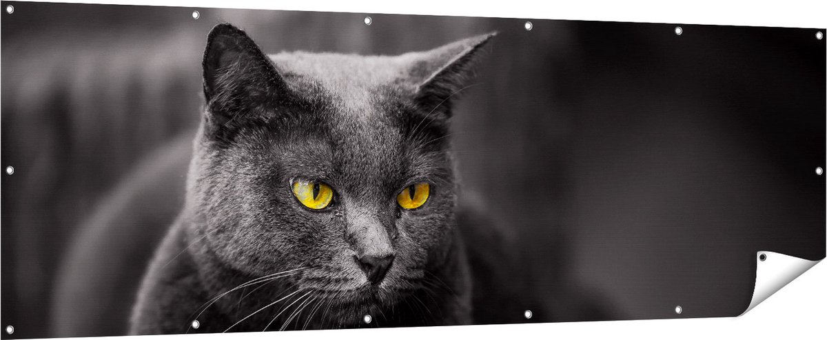 Gards Tuinposter Zwarte Kat met Gele Ogen - 210x70 cm - Tuindoek - Tuindecoratie - Wanddecoratie buiten - Tuinschilderij Multikleur