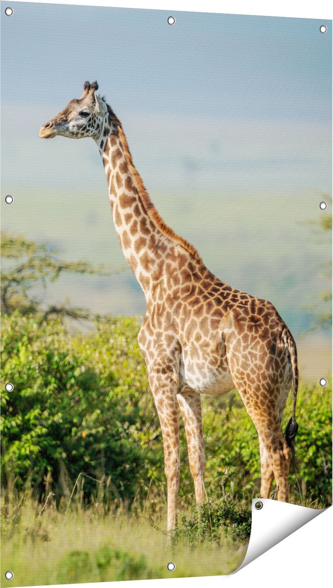 Gards Tuinposter Giraffe in het Wild tussen de Struiken - 80x120 cm - Tuindoek - Tuindecoratie - Wanddecoratie buiten - Tuinschilderij Multikleur
