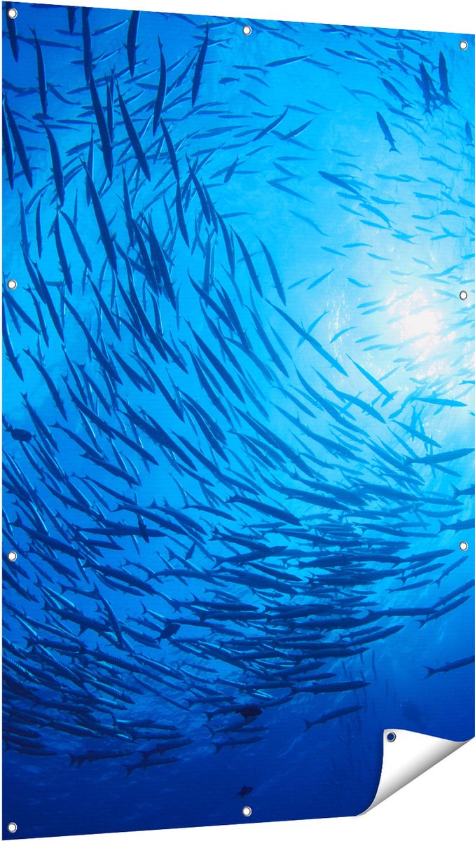 Gards Tuinposter Zwerm Vissen in de Oceaan - 100x150 cm - Tuindoek - Tuindecoratie - Wanddecoratie buiten - Tuinschilderij Multikleur