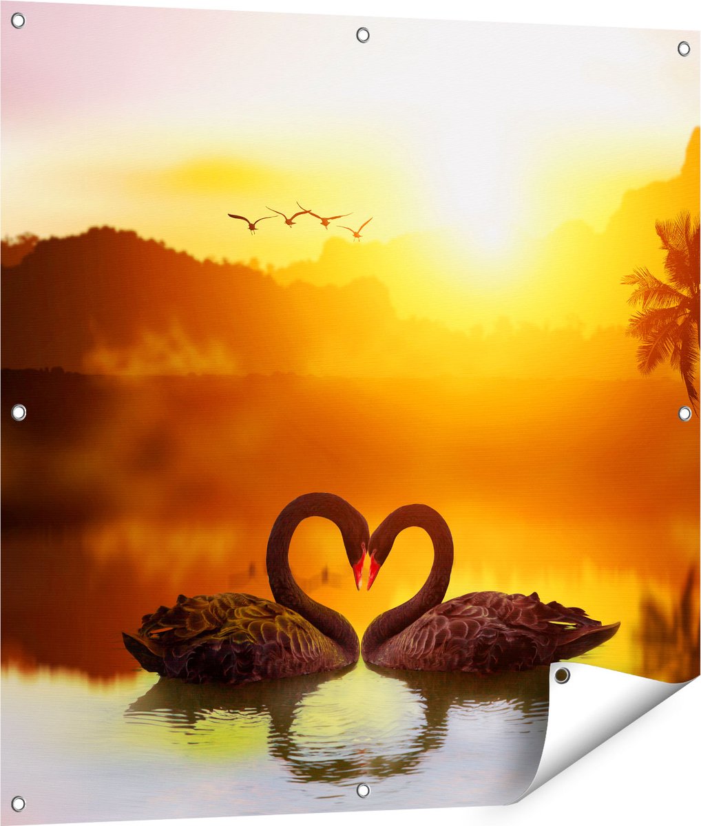 Gards Tuinposter Twee Zwarte Zwanen in een Hart Vorm - 90x90 cm - Tuindoek - Tuindecoratie - Wanddecoratie buiten - Tuinschilderij Multikleur
