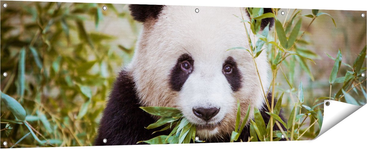 Gards Tuinposter Panda Eet Planten - 180x60 cm - Tuindoek - Tuindecoratie - Wanddecoratie buiten - Tuinschilderij Multikleur